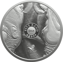 1 Unze Silber Big Five III Nashorn 2025 (Auflage: 20.000 | Coincard)
