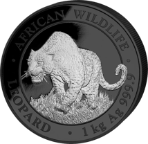 1kg Silber African Wildlife Leopard 2023 Black Platinum Edition (Auflage:100 | platiniert)