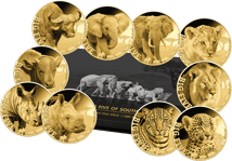 Gold The Big Five of Africa Set