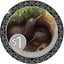 1 Unze Silber Kiwi 2025 (Auflage: 2.500 | Polierte Platte)