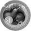 1 Unze Silber Kiwi 2025 (Auflage: 5.000 | Coincard)