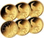 Komplettsatz 1/8 Unze Gold 20 Euro Pirol 2017 (Buchstaben: A, D, F, G, J)